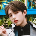 더쿠 - 윈윈시❤