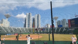 전체 게시판 - 그럼 다시 이쁜 낮 사직