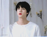 난 석진이 늑대파면서도 사슴파도 밀고있어ㅋㅋㅋㅋ - 진(BTS) 카테고리