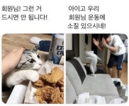 헬스트레이너 시점 - 스퀘어 카테고리