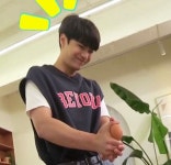 복덩이들 내강아지 구경하러 들어와 - JR 카테고리