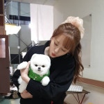 미미 인스타 라본💕 - 드영배 카테고리 미미 인스타 라본💕 - 드영배 카테고리