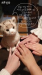 고양이 천사님과 함께하는 최후진술 스테이지 투어 (심장 꼭 부여잡고 들어와) - 연극/뮤지컬 카테고리