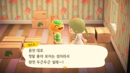 오늘 백프로 이사왔다 - 동물의숲 카테고리