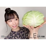 본점 6월 1차 셀프 생사 유이,즛키 - AKB48그룹 카테고리