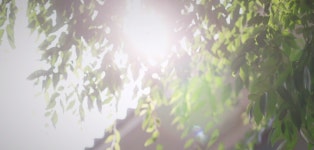 4화 생파, 청계천 화면해설 받아쓰기.txt - 드영배 카테고리