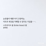 전체 게시판 - 스트라이크홈 공 주접 엄청나다