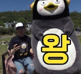 펭수 운동 열심히 하더니 배에 왕자 생긴거봐ㅠㅠㅠ - 펭수 카테고리