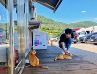 이 사람 호호 극호 - 케이돌토크 카테고리