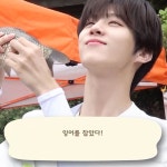 전체 게시판 - 도시어부 김우석 잉어게임 미리보기