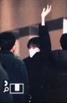 강 아 지 퇴 근 한 당 - 안유진 카테고리