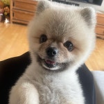 전체 게시판 - 까오 개귀여워 (🍀و ˃̵ᗝ˂̵ )و✧ 전체 게시판 - 까오 개귀여워 (&#x1f340;و ˃̵ᗝ˂̵ )و✧