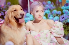 블핑 로제 방금 뜬 인스타 봐주라 - 케이돌토크 카테고리