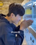 영우 이 영상 어디서 볼 수 있을까 - 국내축구 카테고리