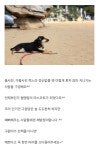 전체 게시판 - 그 jms 본거지 있는 월명동 성전? 거기서 키우는 강아지 이름이 구원이네