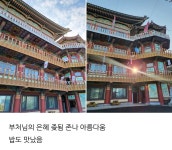 더쿠 - 하나진짜 템플스테이 후기 이렇게 쓰는 사람 처음 봄 ㅜㅜ