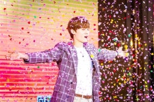 더쿠 - 꽃비가 내린다