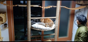 전체 게시판 - 매번 매탈남님 작품에 놀라지만 오늘은 더 놀라운 작업 과정이였어..