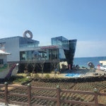 전체 게시판 - 🍊🐧펭긴과 함께 제주도 한달살기 16일차 전체 게시판 - 🍊🐧펭긴과 함께 제주도 한달살기 16일차