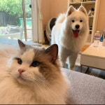 어제 셀카 - 강다니엘 카테고리