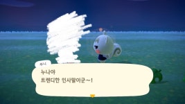 우리 섬 쭈니와 나의 시크릿워드 보고 가 - 동물의숲 카테고리
