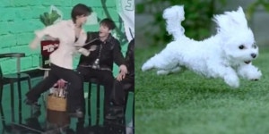 전체 게시판 - 🐶 강강쥬 진짜ㅋㅋㅋㅋㅋㅋㅋㅋㅋ 전체 게시판 - 🐶 강강쥬 진짜ㅋㅋㅋㅋㅋㅋㅋㅋㅋ