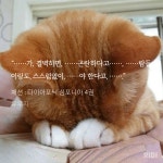 다심4 크레딧쿠키 듣고왔는데 크리스 이부분 넘 귀여워서 속으로 소리지름ㅠㅠㅠㅠ - BL 카테고리
