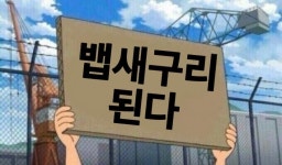 내일 이시간에는 익송 주식 떡상해서 행복해하겠지? - 드영배 카테고리