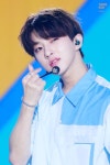 봉블리시 - 골든차일드 카테고리