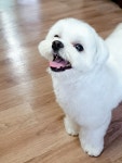 ㅇㅂㅇ 거품스파 하고옴ㅋ - BL 카테고리