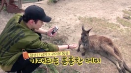 동물과의 케미도!!! - 이준호 카테고리