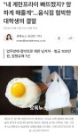 전체 게시판 - 내 계란프라이 빠뜨렸지? 망하게 해줄게…음식점 협박한 대학생의 결말 전체 게시판 - &quot;내 계란프라이 빠뜨렸지? 망하게... 