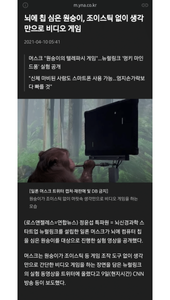 개인적으로 메타버스의 최전선에 서지 않을까 싶은 회사.jpg - 스퀘어 카테고리