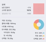 오늘 팻시 개망했어 - 다이어트 카테고리