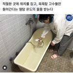 자취방에서 목욕탕 즐기기.jpg (feat. 욕조, 매점 냉장고, 입욕제) - 스퀘어 카테고리
