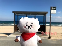 알제이농장💜 여기저기 다닌 제희 볼래? - 진(BTS) 카테고리 알제이농장&#x1f49c; 여기저기 다닌 제희 볼래? - 진(BTS) 카테고리