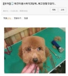 ㅇㅂㅌ) 슼푸 7일 주문했는데 아직도 감감무소식이라 짜증나기 시작한 원덬이 폰에 있는 웃긴 짤 턴다 근데 안 웃겨도 난 모룸 - 뷰티 카테고리
