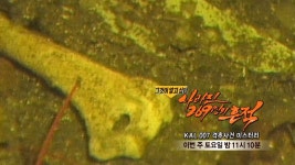 더쿠 - [그것이알고싶다] 오늘 방송 예고 - 