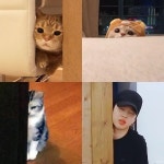 전체 게시판 - 어제 지민이 문에 걸린거때문에 이거지민짤 많이 줍함ㅋ