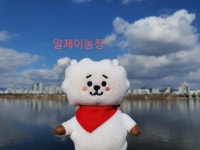 알제이농장💜 여기저기 다닌 제희 볼래? - 진(BTS) 카테고리 알제이농장&#x1f49c; 여기저기 다닌 제희 볼래? - 진(BTS) 카테고리