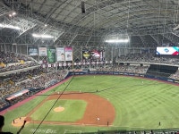 전체 게시판 - ʕ 𖦹 ᴥ 𖦹 ʔ 도미야 전체 게시판 - ʕ 𖦹 ᴥ 𖦹 ʔ 도미야