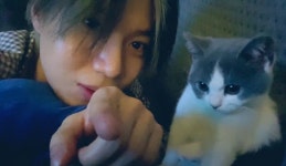 더쿠 - 꿍이야 모해???