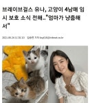 더쿠 - 쁘걸 유나네 냥이.insta