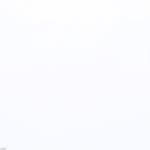 정국이 진짜 토깽이같아 - 방탄소년단(BTS) 카테고리