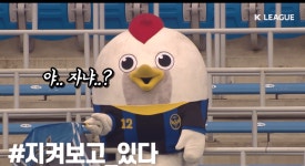 크리그 영상에 유티 봐봐 (놀람주의) - 국내축구 카테고리
