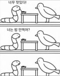너는 밥 안먹어? - 스퀘어 카테고리
