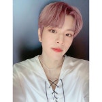 승스타그램❤️ - Stray Kids(스트레이 키즈) 카테고리