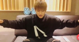 더쿠 - 박우진 강아지 박초코 스탠다드 푸들 설