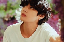 태형이 뭐냐고ㅠㅠㅠ - 방탄소년단 카테고리