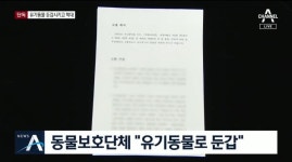 [단독]“유기동물 키운다더니”…유명 수의대생의 두 얼굴(뉴스영상) - 스퀘어 카테고리